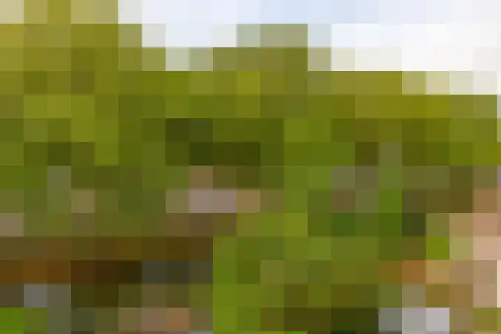 Napelshof 84 Rotterdam thumbnail 24