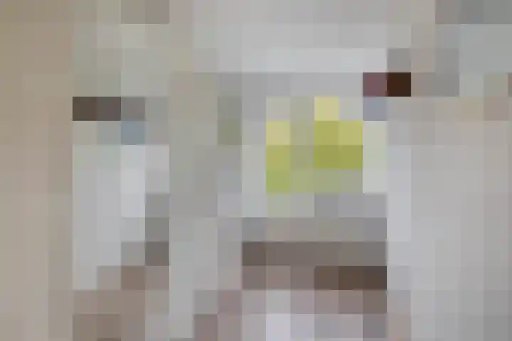 Napelshof 84 Rotterdam thumbnail 29