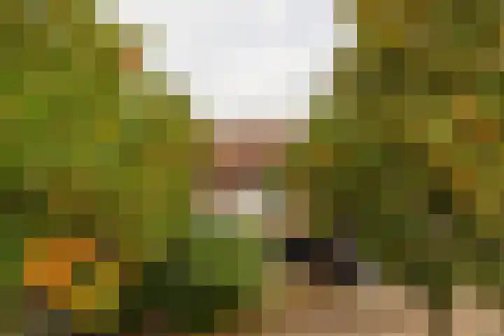 Napelshof 84 Rotterdam thumbnail 34