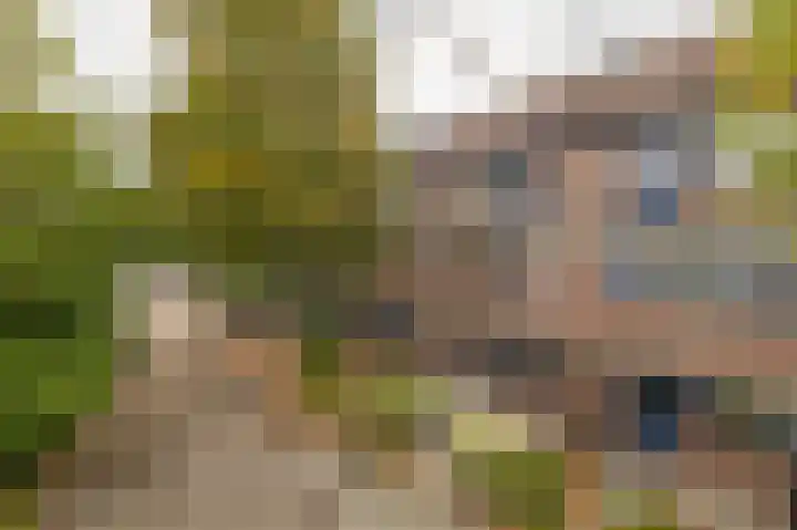 Napelshof 84 Rotterdam thumbnail 38
