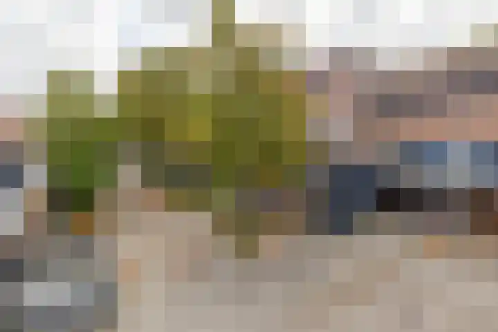 Napelshof 84 Rotterdam thumbnail 40