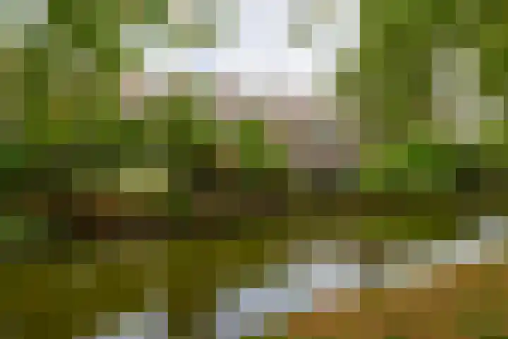 Napelshof 84 Rotterdam thumbnail 41