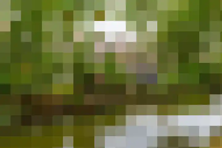 Napelshof 84 Rotterdam thumbnail 42