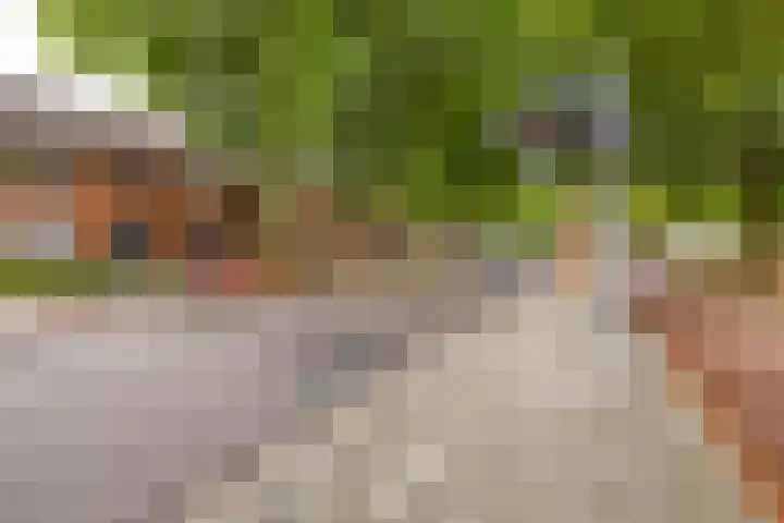 Napelshof 84 Rotterdam thumbnail 43