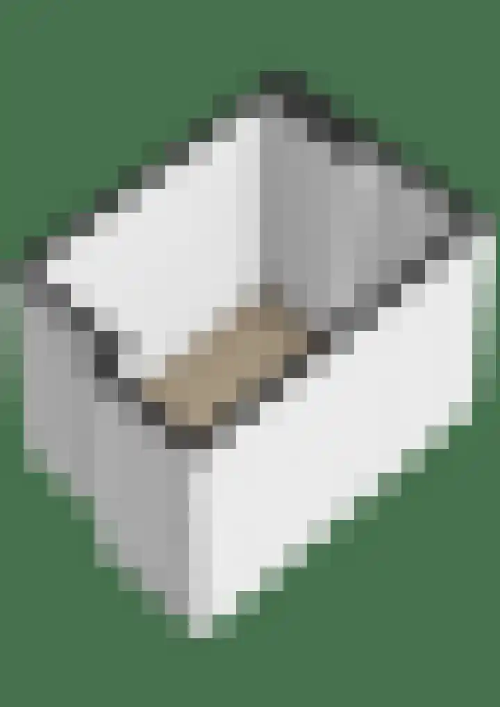 Napelshof 84 Rotterdam thumbnail 49