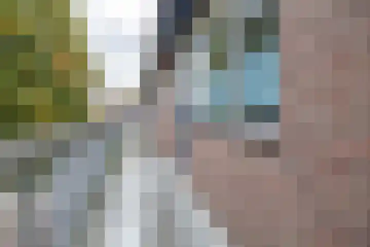 Napelshof 84 Rotterdam thumbnail 7