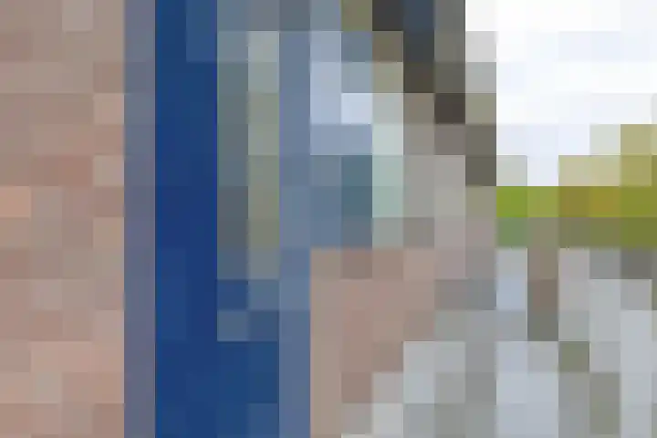 Napelshof 84 Rotterdam thumbnail 8