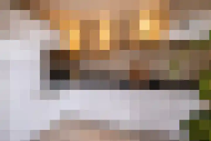 Napjusstraat 28 Sneek thumbnail 22