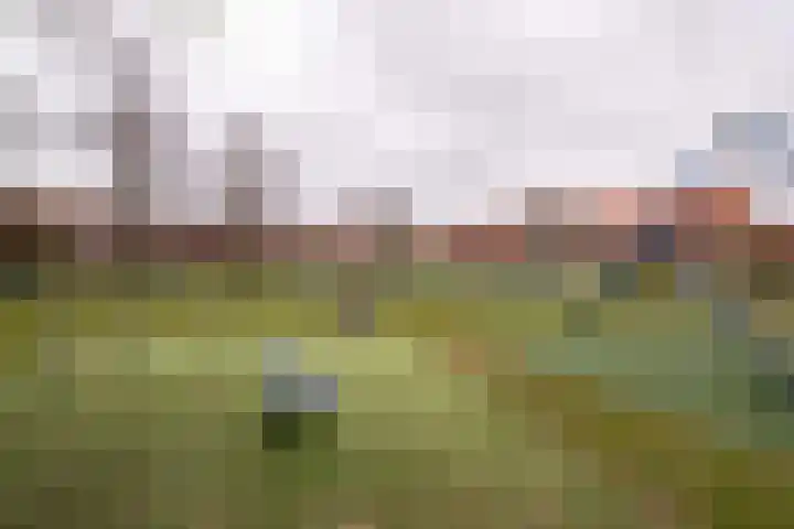 Napjusstraat 28 Sneek thumbnail 49