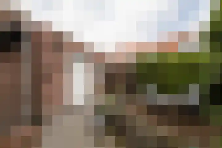Napjusstraat 40 Sneek thumbnail 27