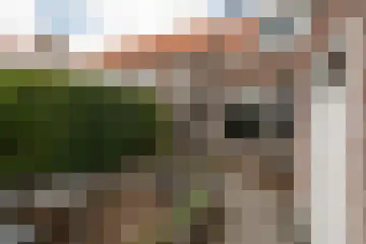 Napjusstraat 40 Sneek thumbnail 29