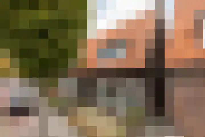 Napjusstraat 40 Sneek thumbnail 32