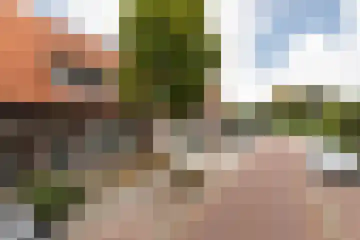 Napjusstraat 40 Sneek thumbnail 34