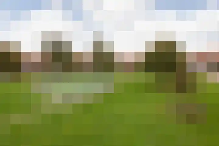 Napjusstraat 40 Sneek thumbnail 35