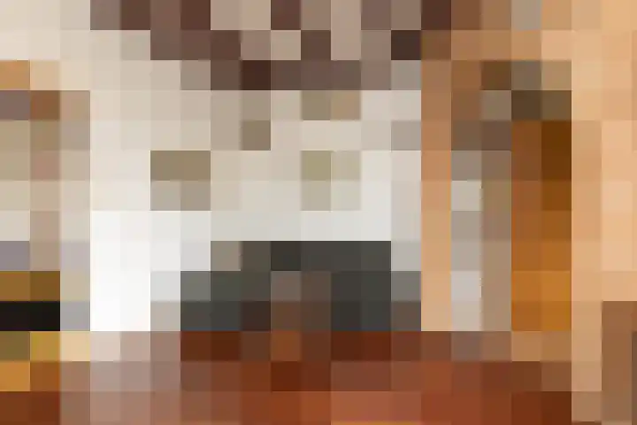 Napjusstraat 40 Sneek thumbnail 7