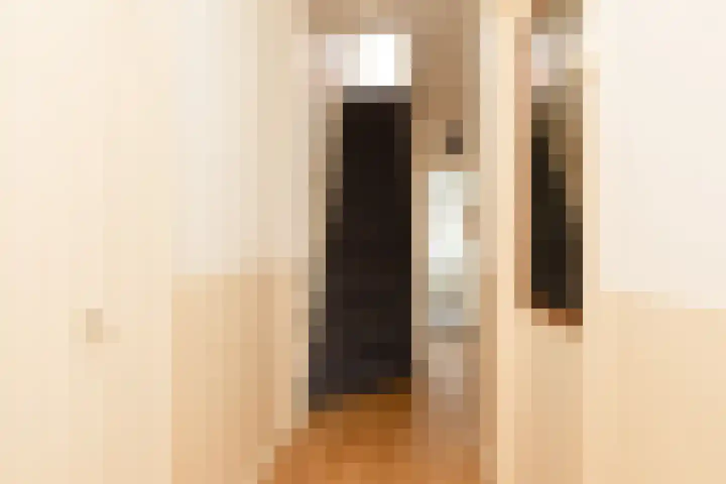 Napjusstraat 49 Sneek thumbnail 11