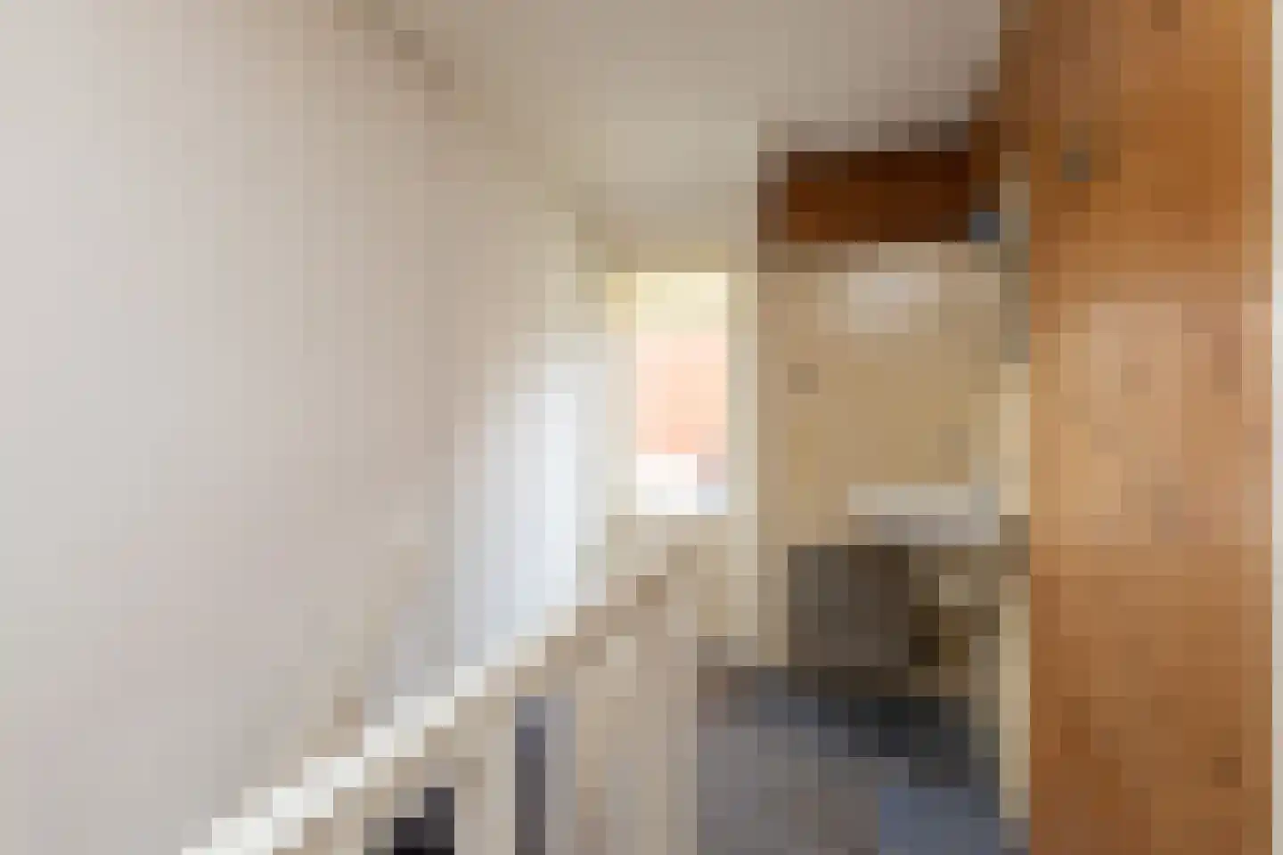 Napjusstraat 49 Sneek thumbnail 12