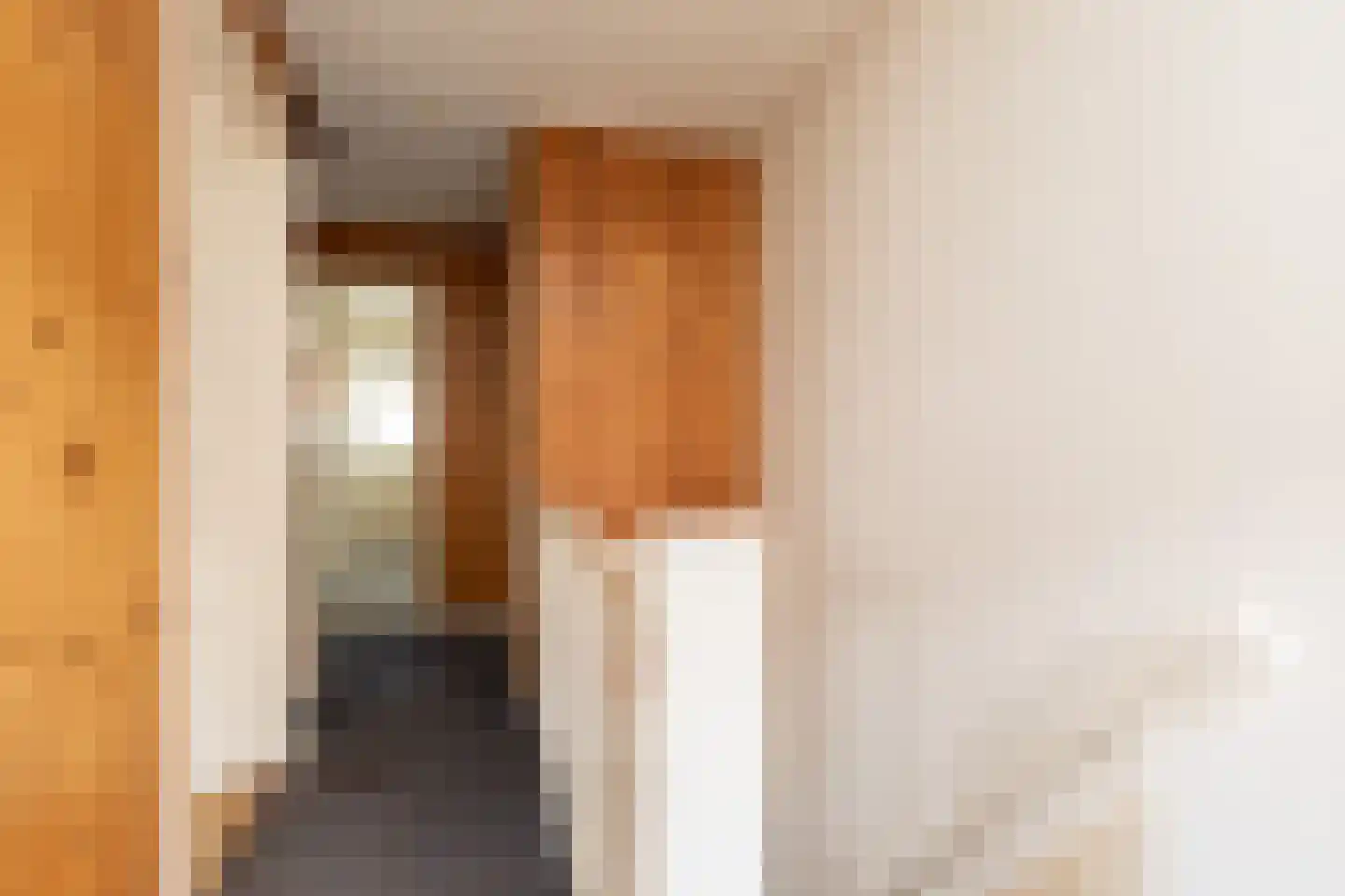 Napjusstraat 49 Sneek thumbnail 14