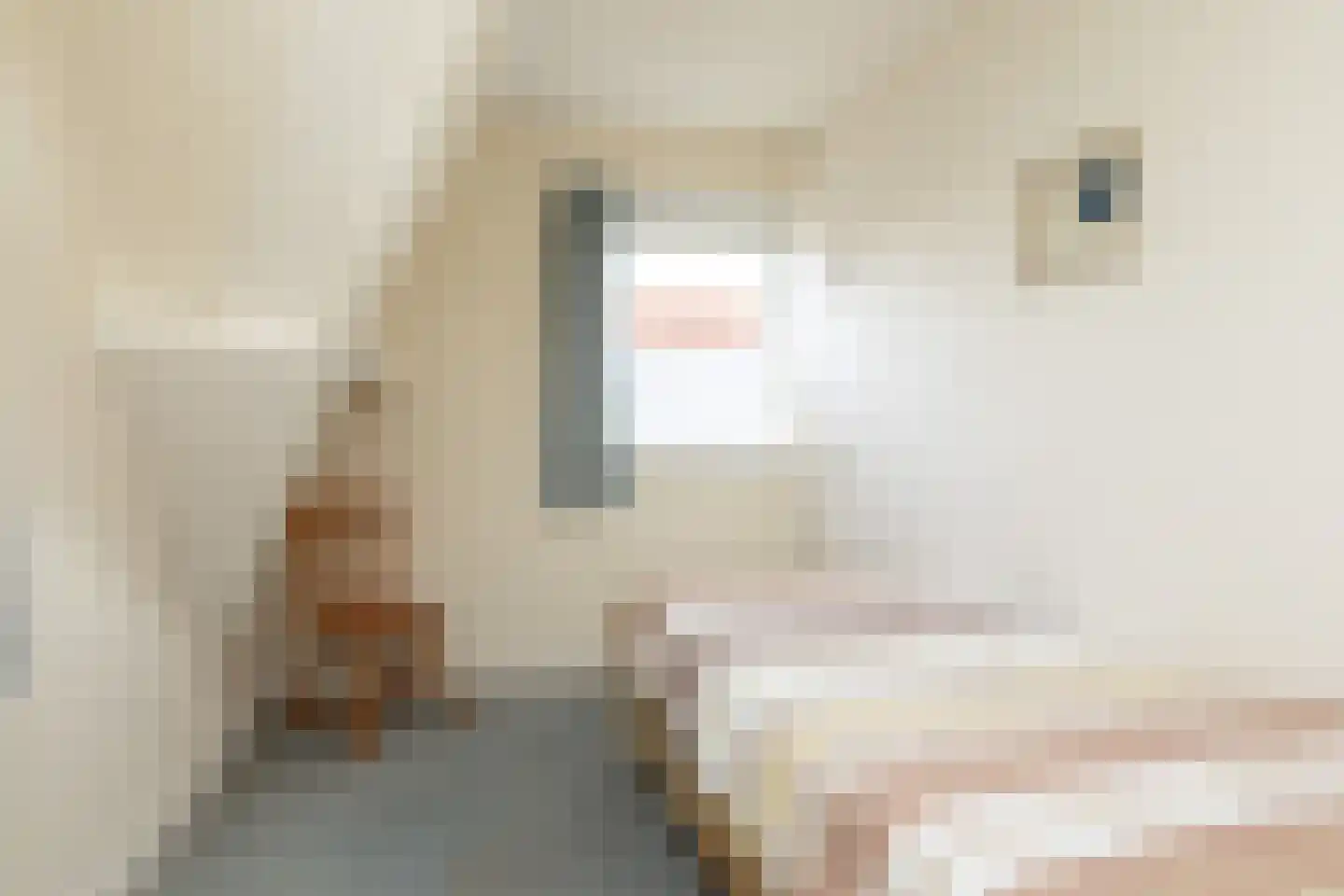 Napjusstraat 49 Sneek thumbnail 18