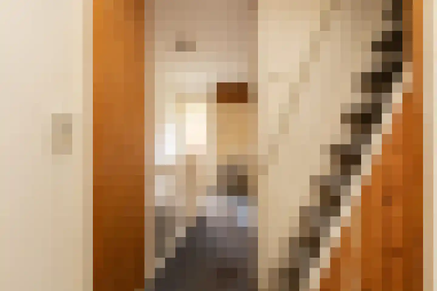 Napjusstraat 49 Sneek thumbnail 22