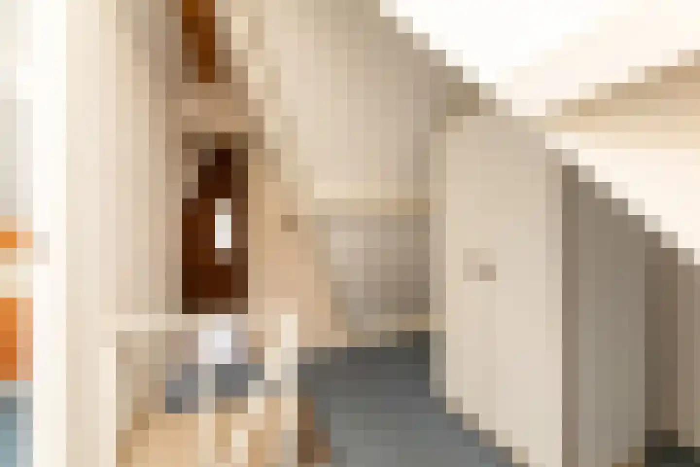 Napjusstraat 49 Sneek thumbnail 23