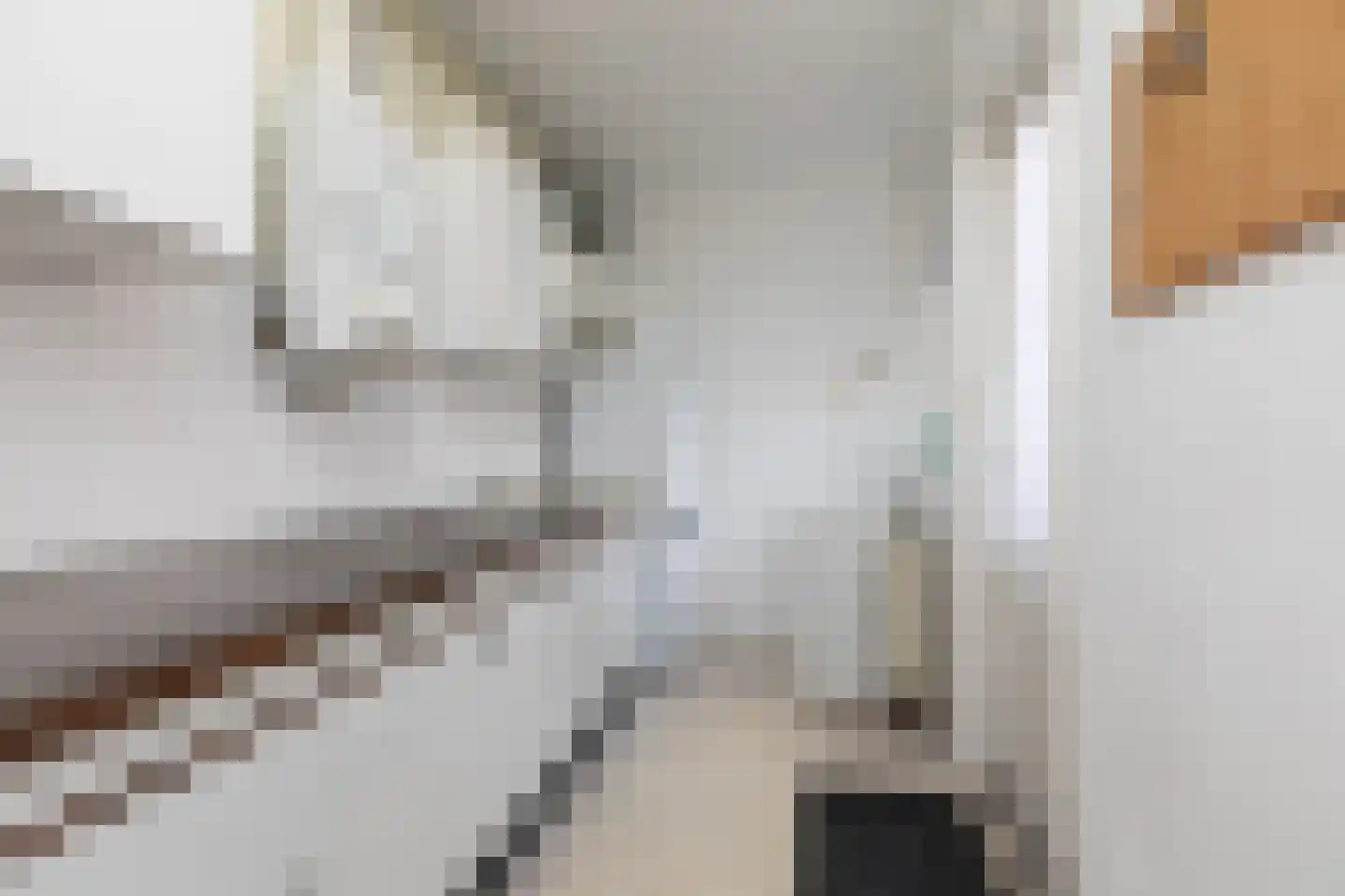 Napjusstraat 49 Sneek thumbnail 7