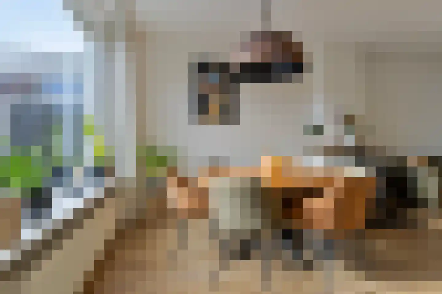 Napjusstraat 62 Sneek thumbnail 10