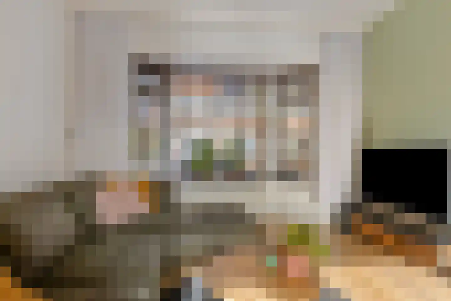 Napjusstraat 62 Sneek thumbnail 7