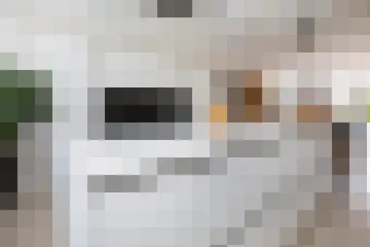 Napo 7 Nieuwerkerk aan den IJssel thumbnail 17