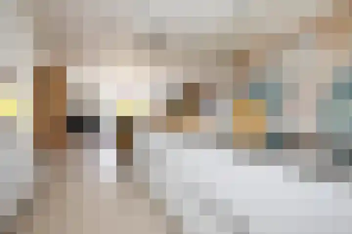 Napo 7 Nieuwerkerk aan den IJssel thumbnail 18
