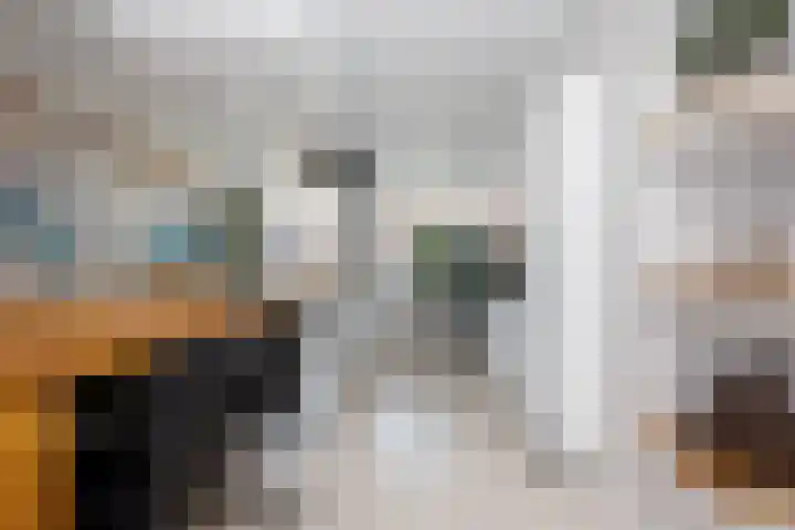 Napo 7 Nieuwerkerk aan den IJssel thumbnail 20