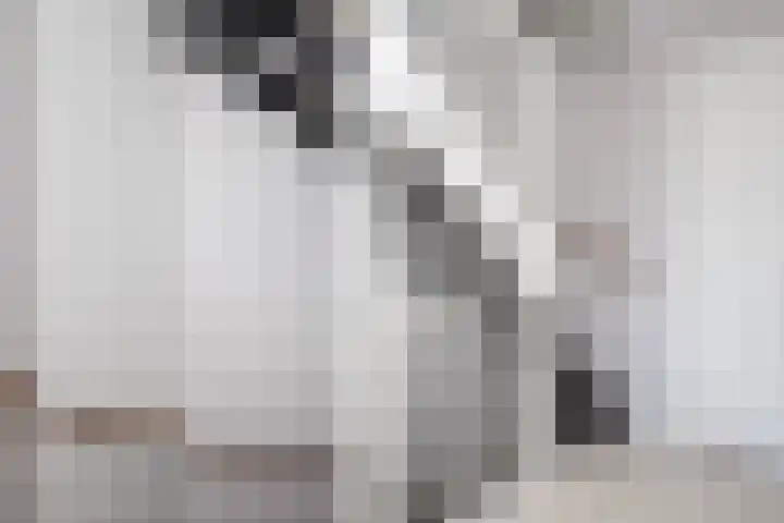 Napo 7 Nieuwerkerk aan den IJssel thumbnail 30
