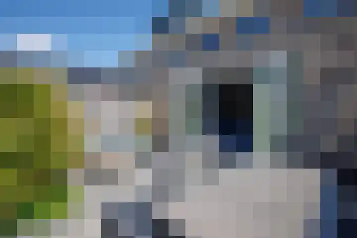 Napo 7 Nieuwerkerk aan den IJssel thumbnail 37