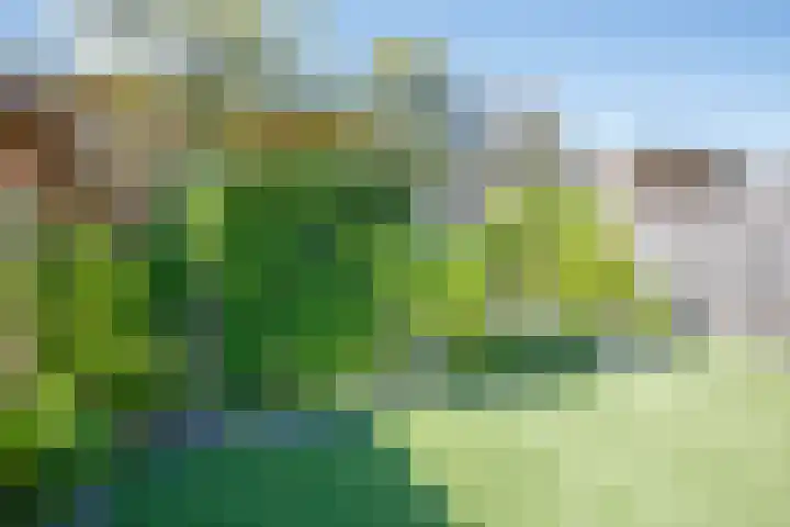 Napo 7 Nieuwerkerk aan den IJssel thumbnail 39