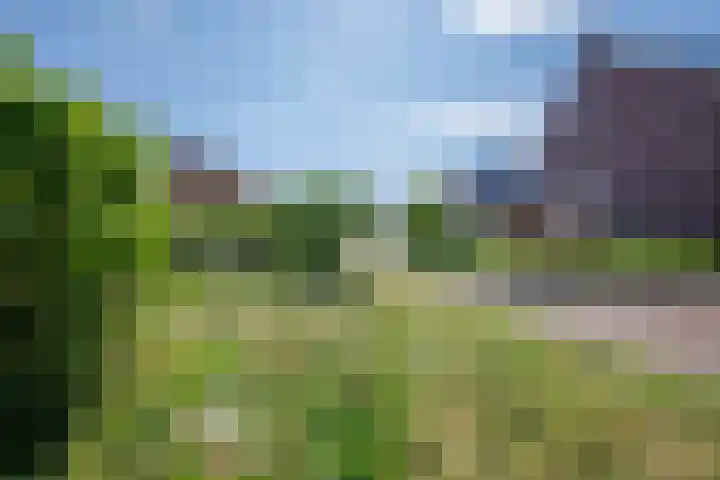 Napo 7 Nieuwerkerk aan den IJssel thumbnail 47