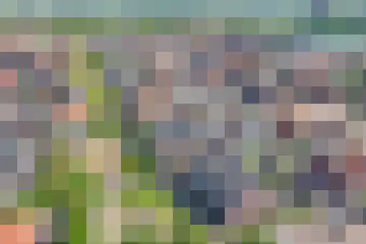 Napo 7 Nieuwerkerk aan den IJssel thumbnail 52