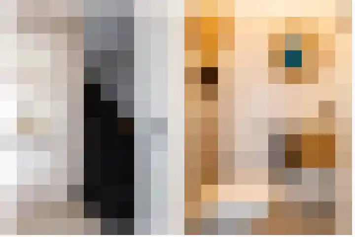 Napo 7 Nieuwerkerk aan den IJssel thumbnail 8