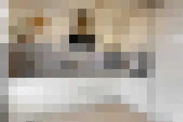 Napoleonbaan Noord 111 Geleen thumbnail 10