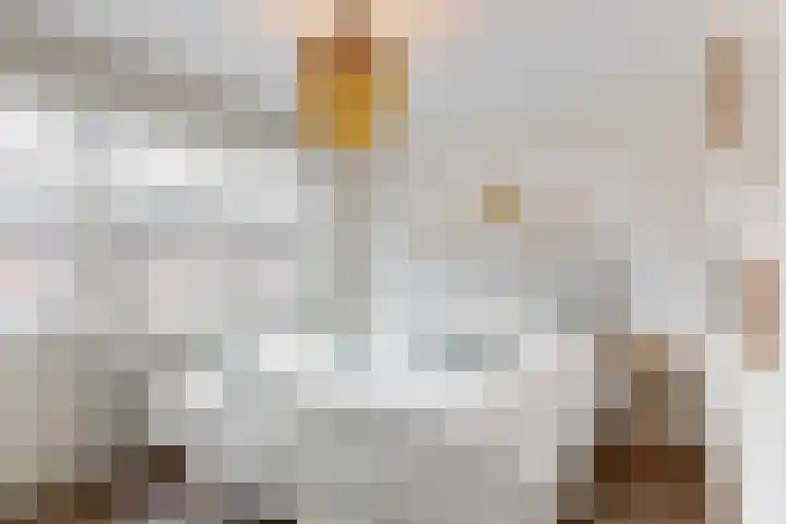 Napoleonbaan Noord 111 Geleen thumbnail 16
