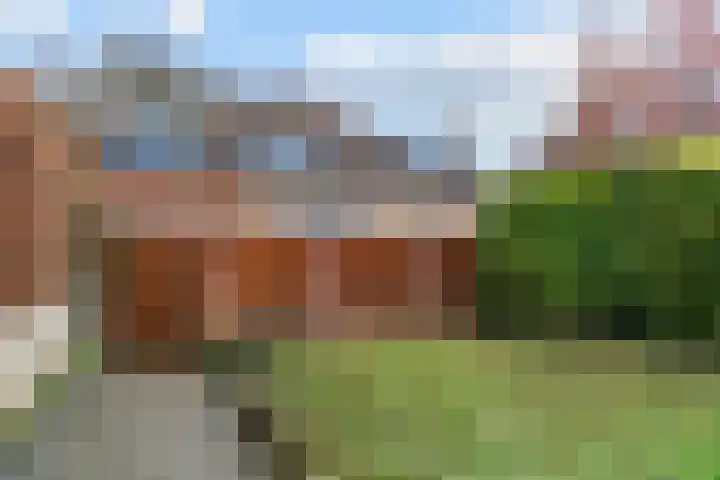 Napoleonbaan Noord 111 Geleen thumbnail 26