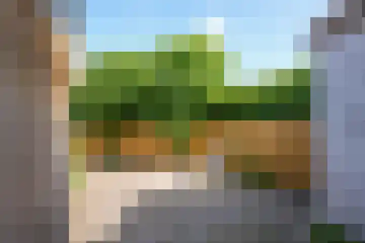 Napoleonbaan Noord 117 Geleen thumbnail 28