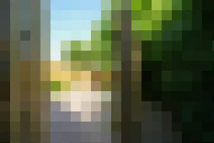 Napoleonbaan Noord 117 Geleen thumbnail 34