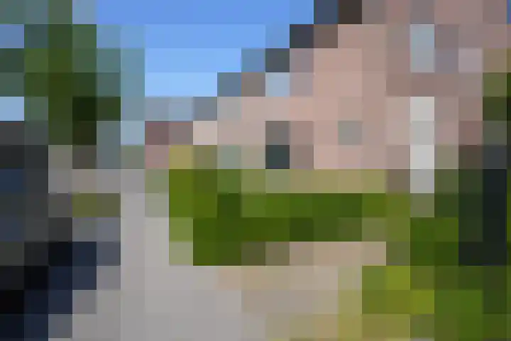 Napoleonbaan Noord 117 Geleen thumbnail 37