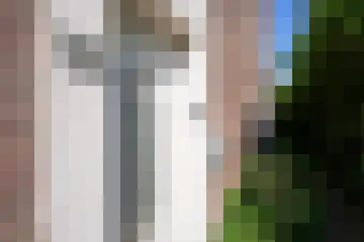 Napoleonbaan Noord 117 Geleen thumbnail 38