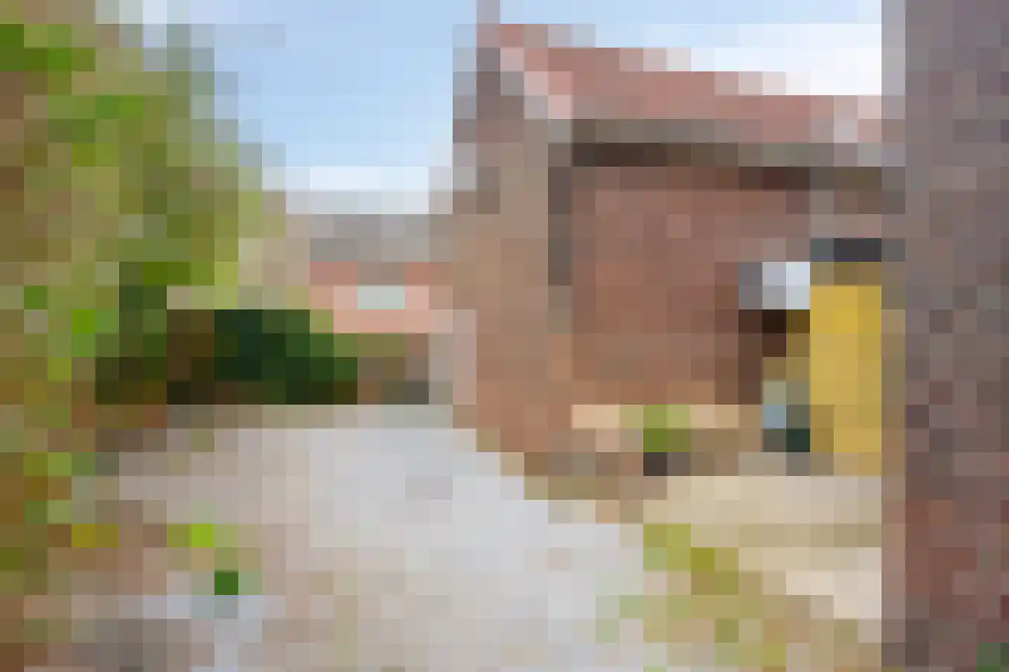 Napoleonbaan Noord 119 Geleen thumbnail 30