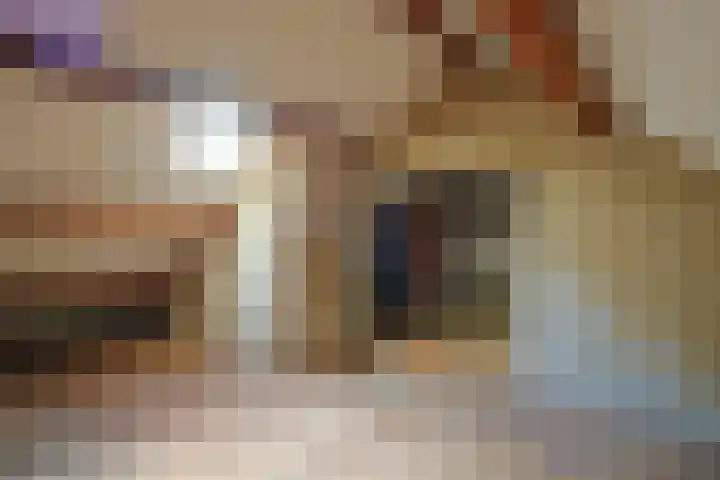 Napoleonbaan Noord 24 Geleen thumbnail 22