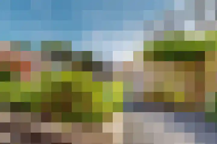 Napoleonbaan Noord 74 Geleen thumbnail 27