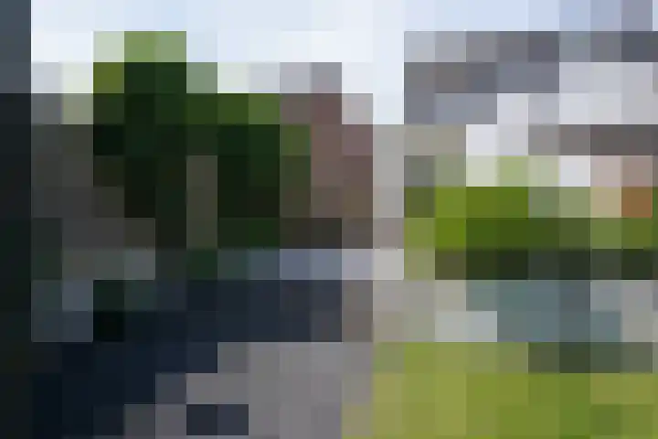Napoleonbaan Noord 74 Geleen thumbnail 29