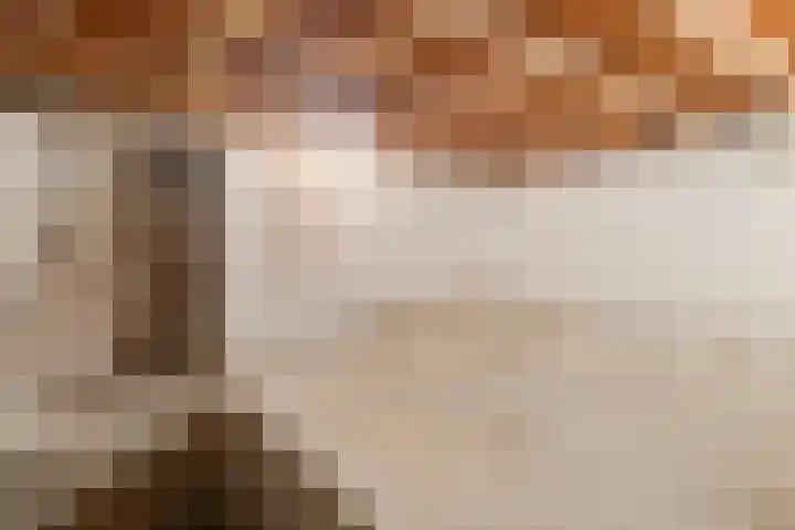 Napoleonbaan Noord 83 Geleen thumbnail 33