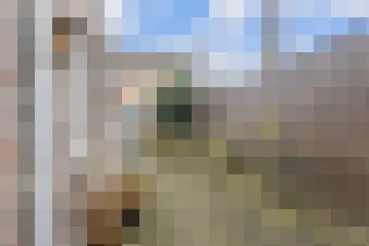 Napoleonbaan Noord 83 Geleen thumbnail 35